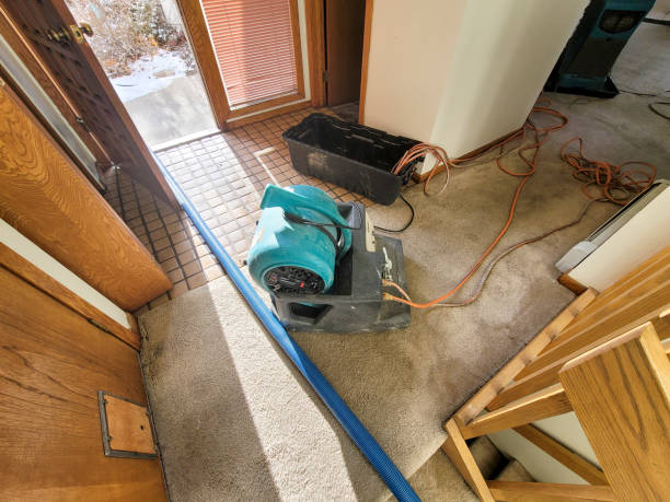 Best Water damage restoration insurance claims  in Nevada City, CA