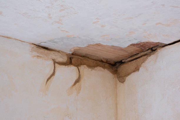 Best Commercial water damage restoration  in Nevada City, CA