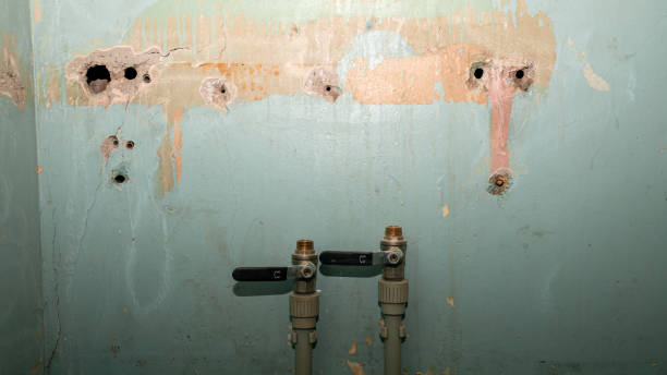 Best Water damage cleanup near me  in Nevada City, CA