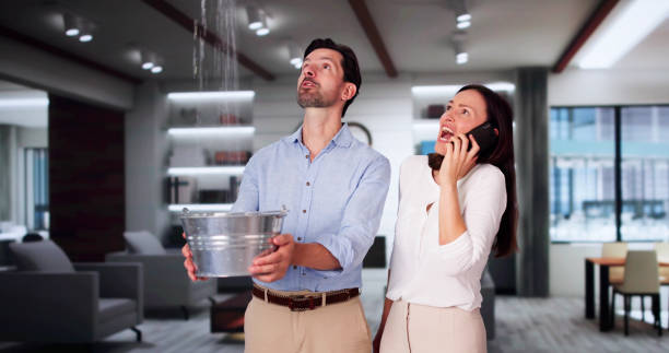 Best Water damage restoration insurance claims  in Nevada City, CA